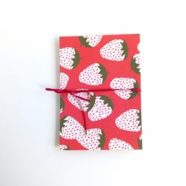 album photo accordéon, décor fraise